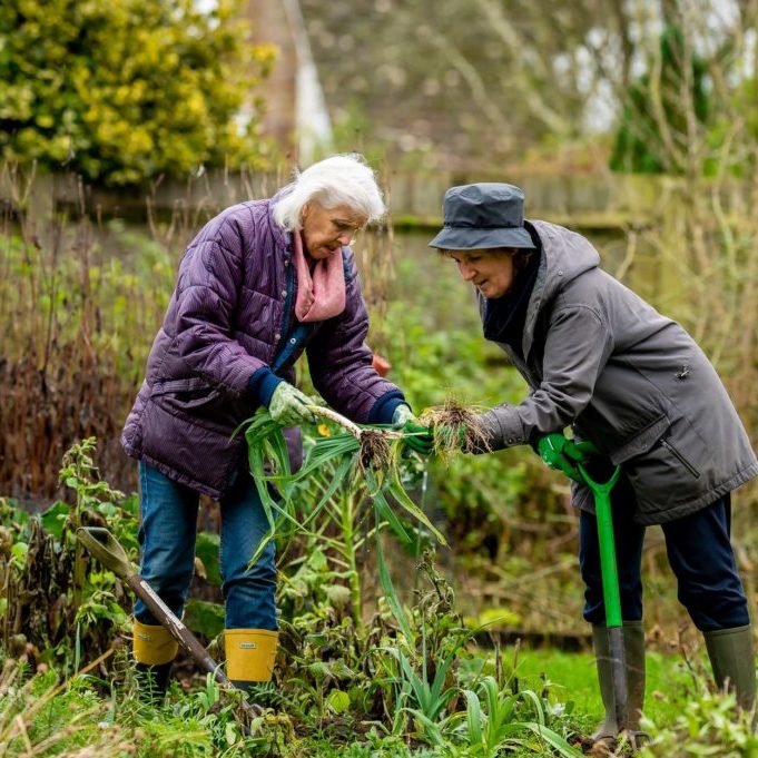 retirement-toronto-gardening